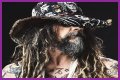 
                    Rob Zombie
                     – 
                    Thunder Kiss '65 lyrics
                